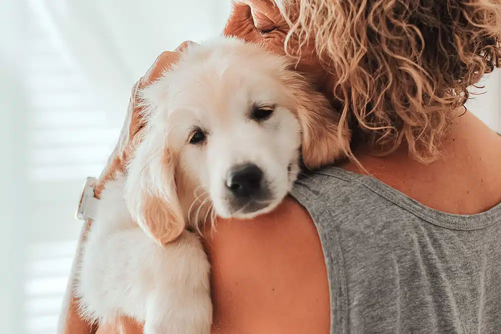 puppy with owner