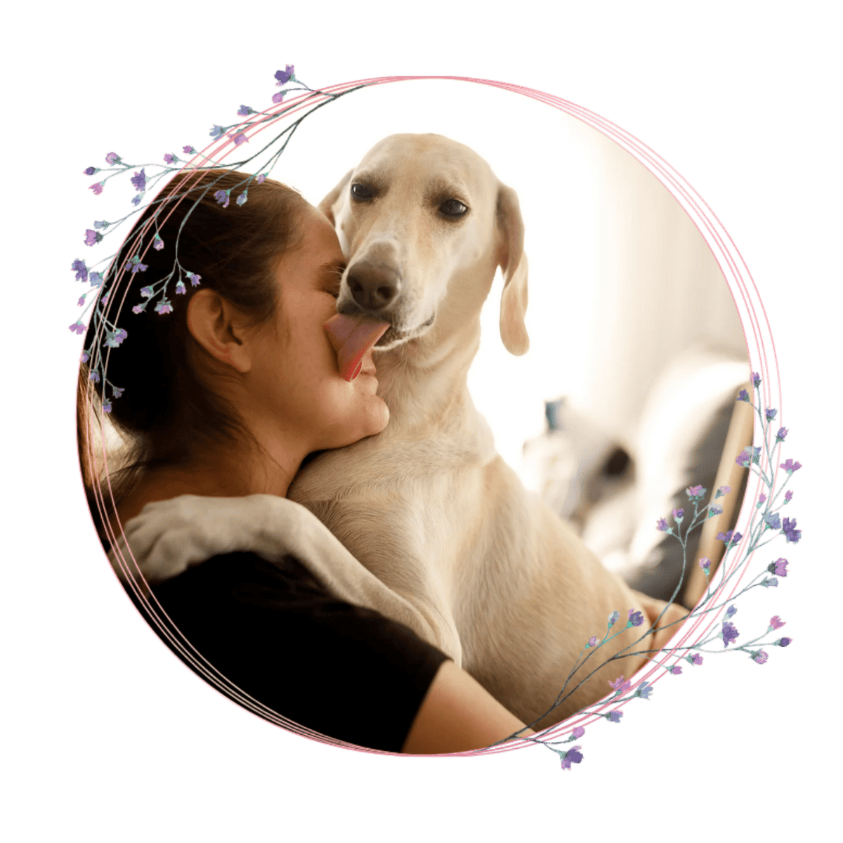 A person is hugging their dog in a living room