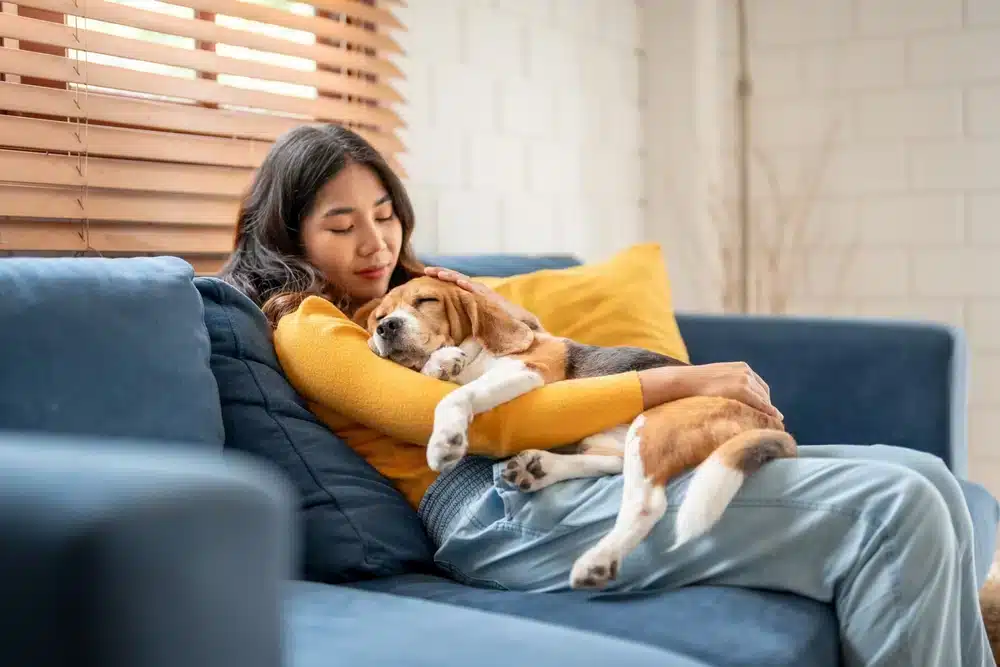 a woman sitting on a sofa with her beagle sleeping on her lap